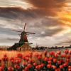 Natuur Wallgroup | Hollands Landschap Met Molen Bij Zonsondergang Fotobehang