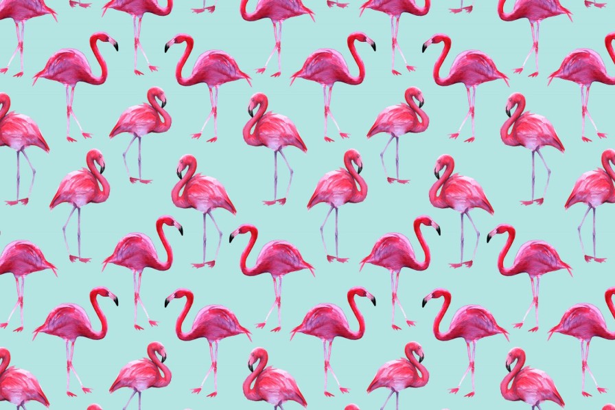 Dieren Wallgroup | Flamingo Print Met Een Blauwe Achtergrond Fotobehang