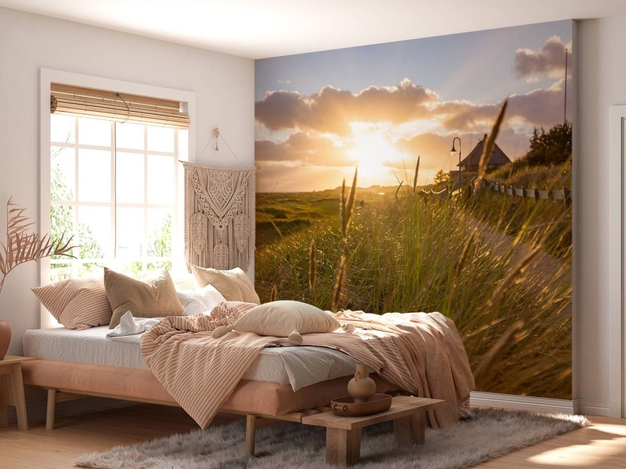 Natuur Wallgroup | Riet Bij Zonsondergang Fotobehang