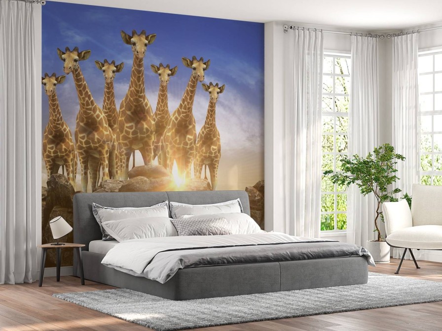 Dieren Wallgroup | Giraffen Bij Zonsondergang Fotobehang