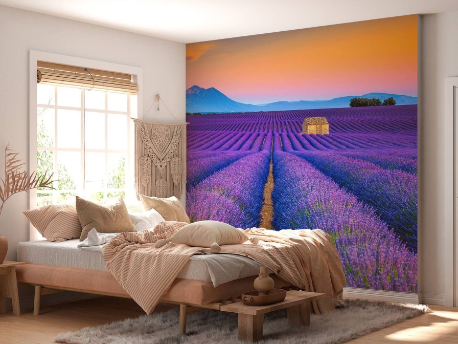 Natuur Wallgroup | Prachtig Bloemenveld Van Lavendel Fotobehang