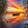 Natuur Wallgroup | Boot Met Riet In De Avond Fotobehang