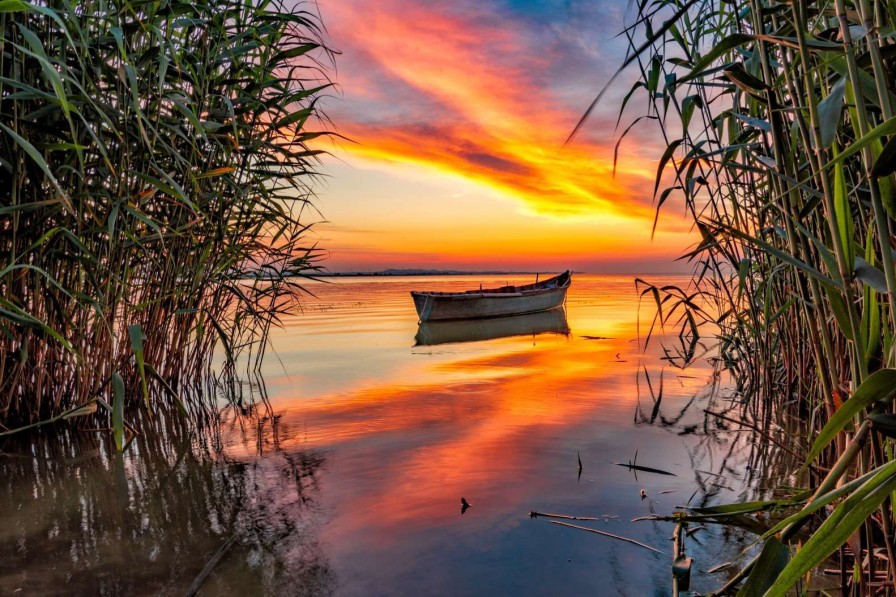 Natuur Wallgroup | Boot Met Riet In De Avond Fotobehang