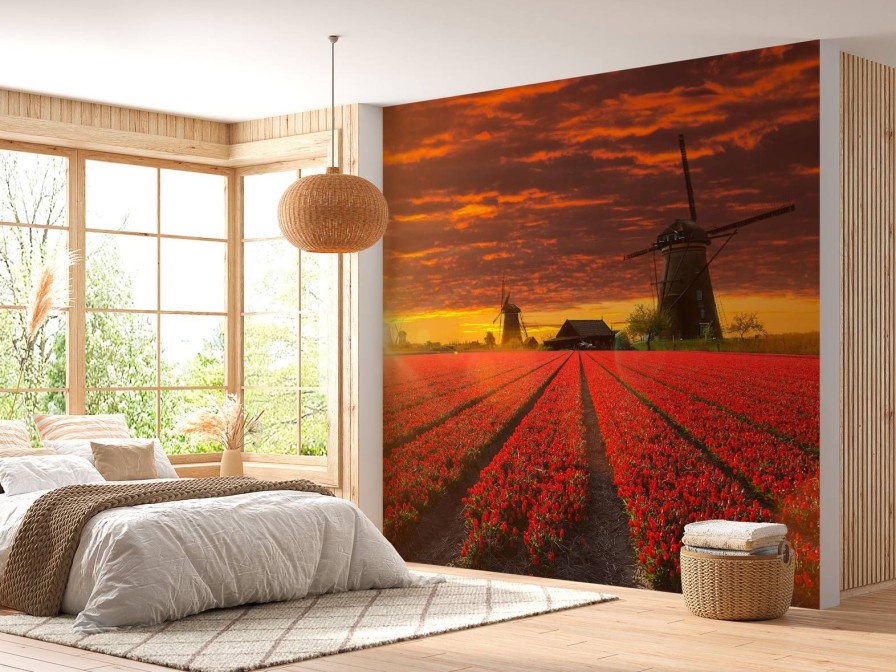 Natuur Wallgroup | Hollands Tulpenveld Onder Een Rode Lucht Fotobehang