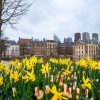 Architectuur Wallgroup | Den Haag Met Bloemen Op De Voorgrond Fotobehang