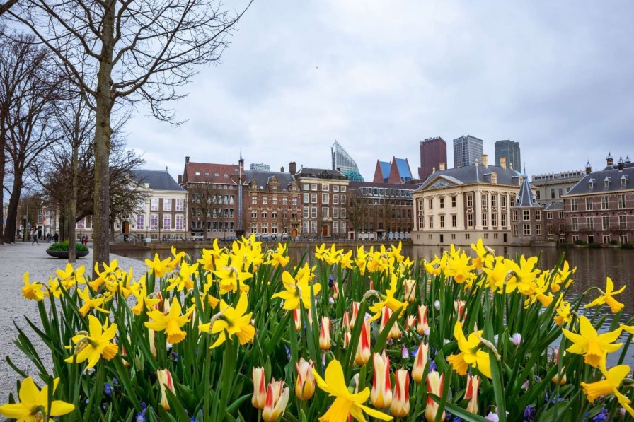 Architectuur Wallgroup | Den Haag Met Bloemen Op De Voorgrond Fotobehang