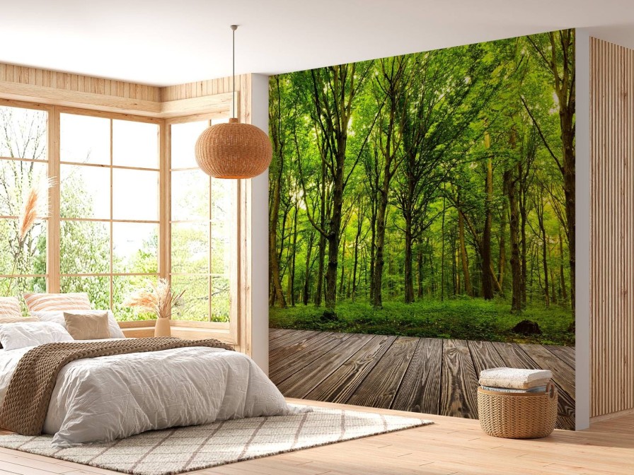 Natuur Wallgroup | Zomers Bos Met Doorkomend Daglicht Fotobehang