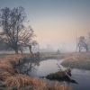 Natuur Wallgroup | Natuurgebied In De Vroege Ochtend Fotobehang