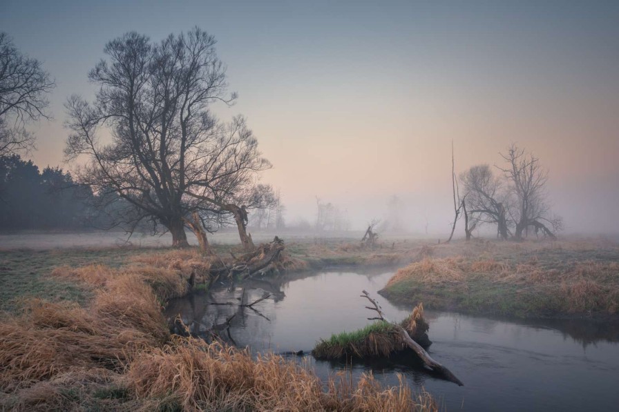 Natuur Wallgroup | Natuurgebied In De Vroege Ochtend Fotobehang