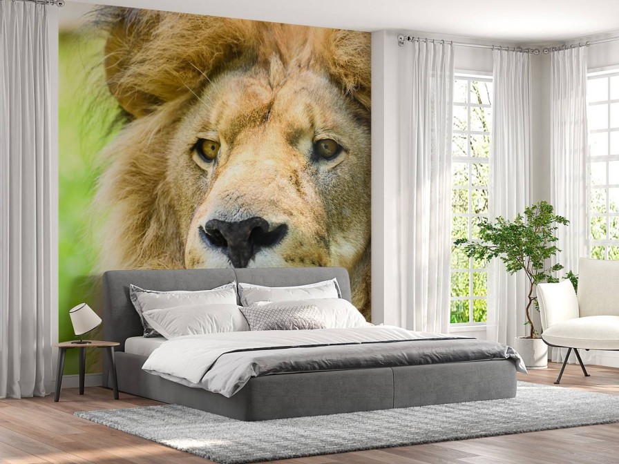 Dieren Wallgroup | Gezicht Van Een Mooie Leeuw Fotobehang