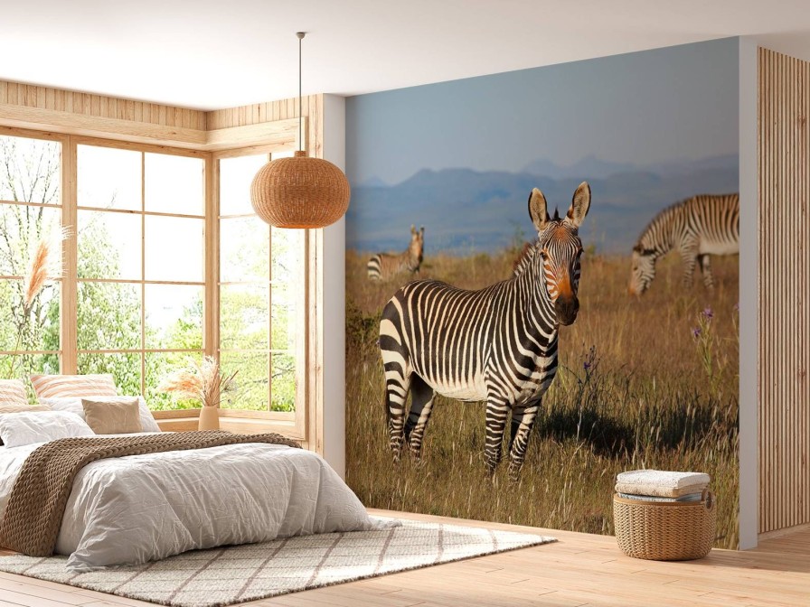 Dieren Wallgroup | Kaapse Bergzebra'S Fotobehang