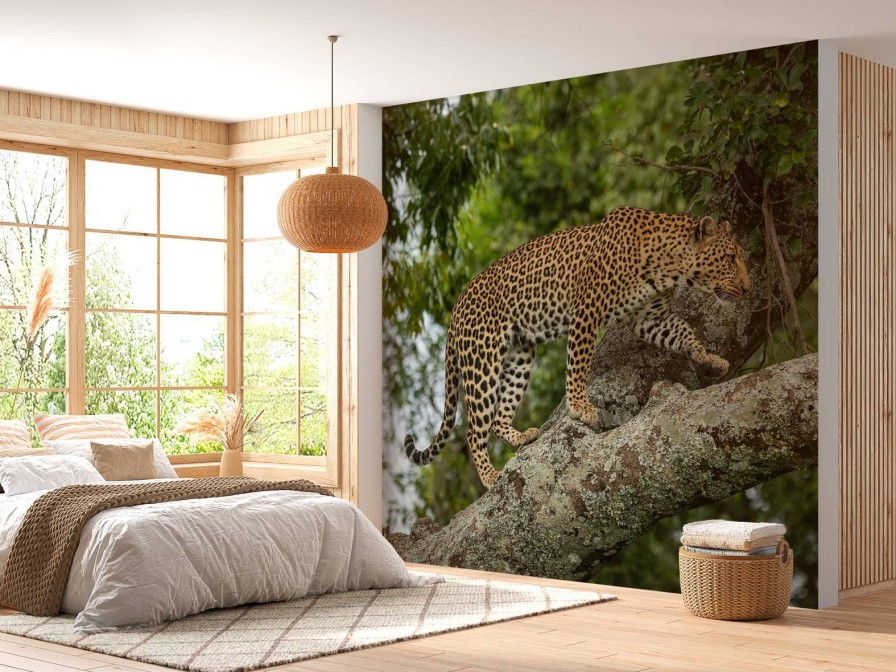 Dieren Wallgroup | Luipaard Klimt In Een Boom Fotobehang