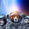 Dieren Wallgroup | Dierlijke Astronauten Fotobehang