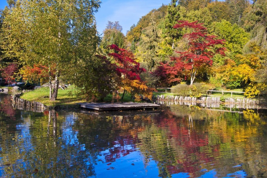 Natuur Wallgroup | Bomen Achter Het Water Fotobehang