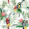 Natuur Wallgroup | Exotische Vogels Print Fotobehang