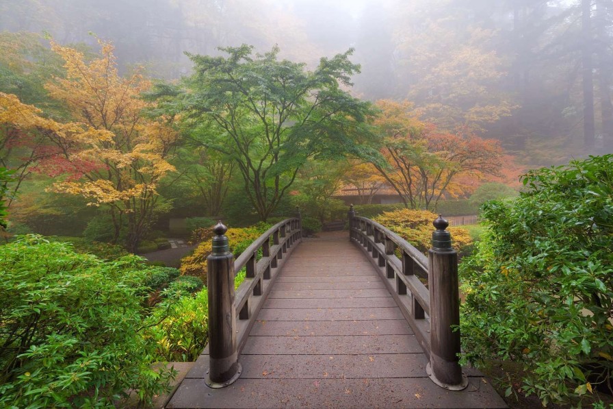 Natuur Wallgroup | Houten Brug In Een Japanse Tuin Fotobehang