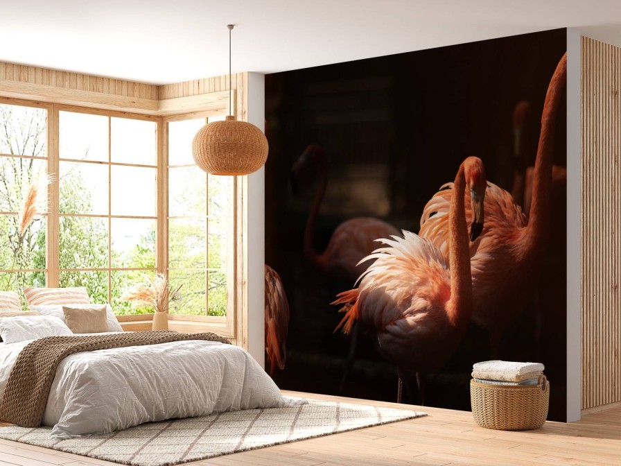 Dieren Wallgroup | Flamingo'S Met Een Donkere Achtergrond Fotobehang