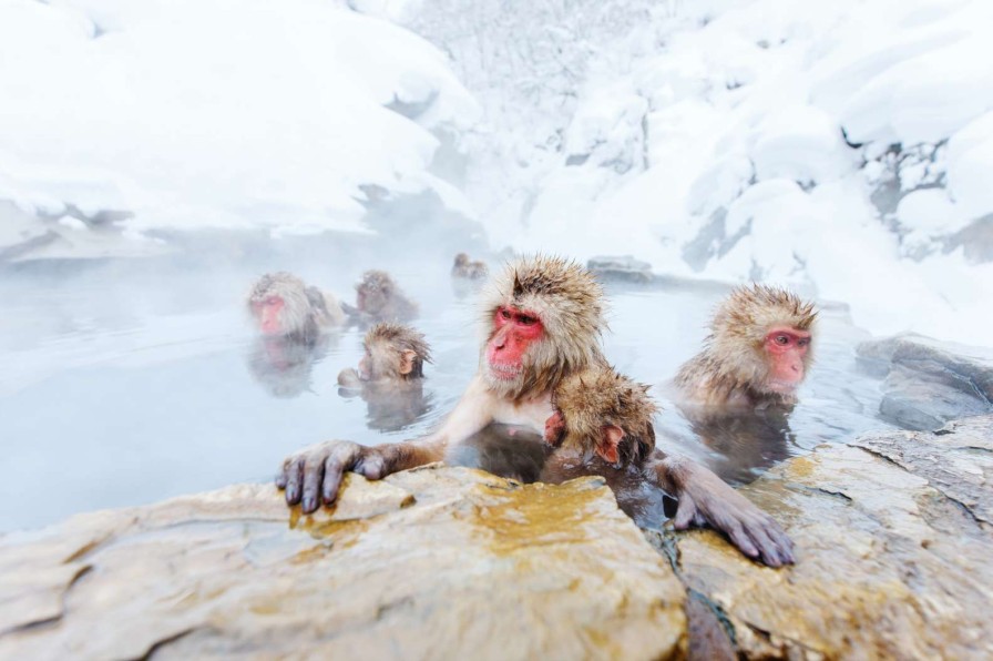 Landschap Wallgroup | Sneeuwapen Genieten Van Het Warme Water Fotobehang