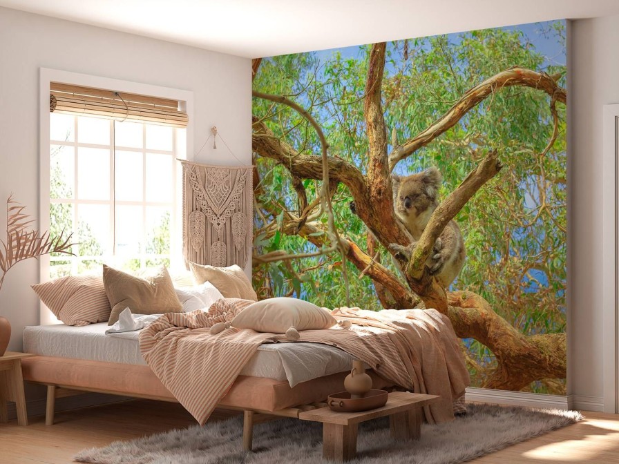 Natuur Wallgroup | Koala In Een Eucalyptus Boom Fotobehang