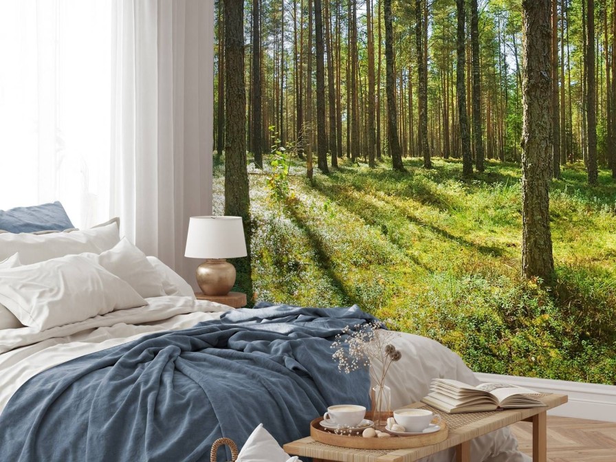 Natuur Wallgroup | Bomen In Het Bos Fotobehang