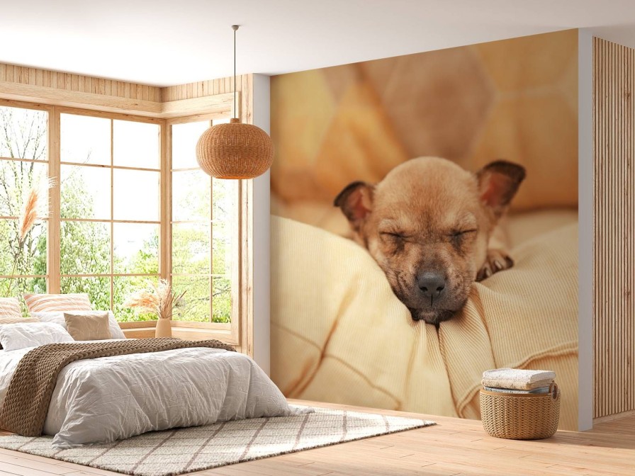 Dieren Wallgroup | Kleine Puppy Slaapt Op Een Kussen Fotobehang