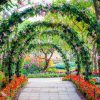 Natuur Wallgroup | Bloemenbogen In Een Parkje Fotobehang