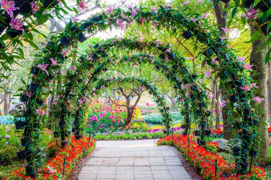 Natuur Wallgroup | Bloemenbogen In Een Parkje Fotobehang