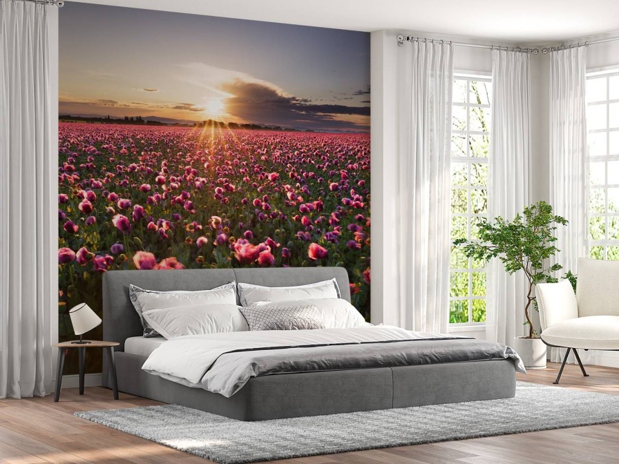 Natuur Wallgroup | Roze Klaprozenveld Bij Zonsondergang Fotobehang