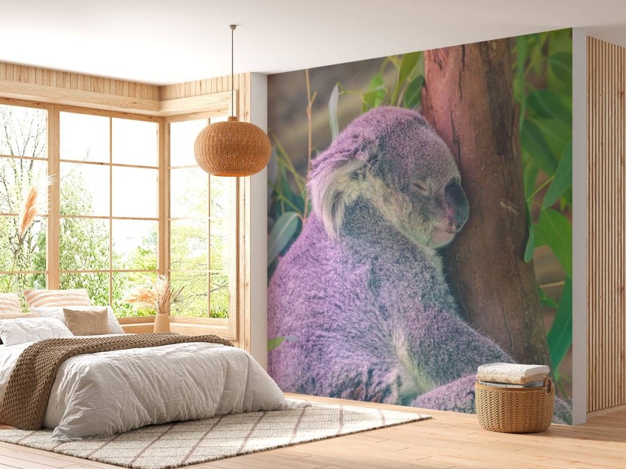 Dieren Wallgroup | Koala Aan Het Slapen Fotobehang