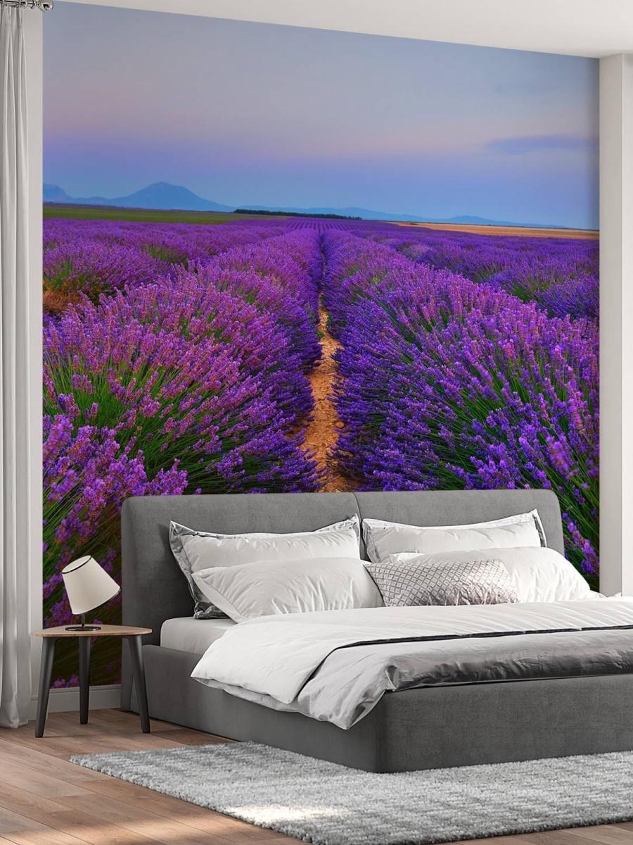 Natuur Wallgroup | Lavendel Landschap Met Bergen Fotobehang