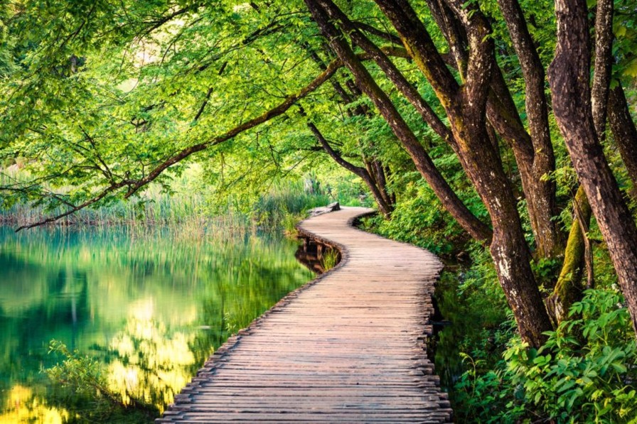 Natuur Wallgroup | Een Tropisch Pad Fotobehang