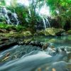 Landschap Wallgroup | Waterval Door Een Tropisch Regenwoud Fotobehang