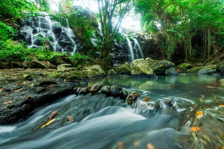 Landschap Wallgroup | Waterval Door Een Tropisch Regenwoud Fotobehang