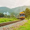 Transport Wallgroup | Trein Door Een Dorpje In Thailand Fotobehang