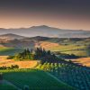 Natuur Wallgroup | Toscaans Landschap Met Wijngaarden Fotobehang