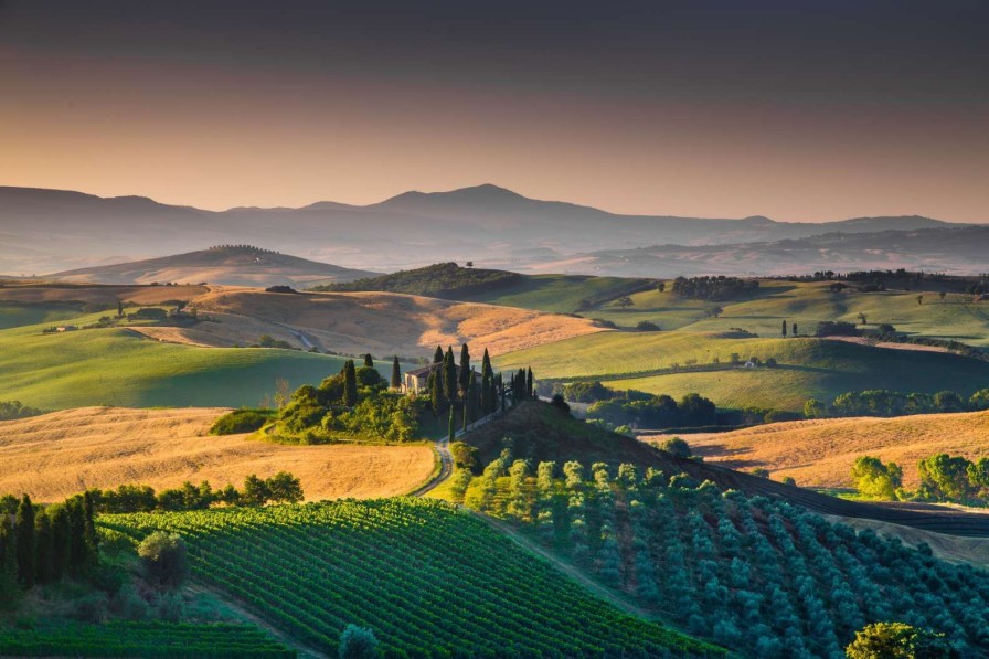 Natuur Wallgroup | Toscaans Landschap Met Wijngaarden Fotobehang