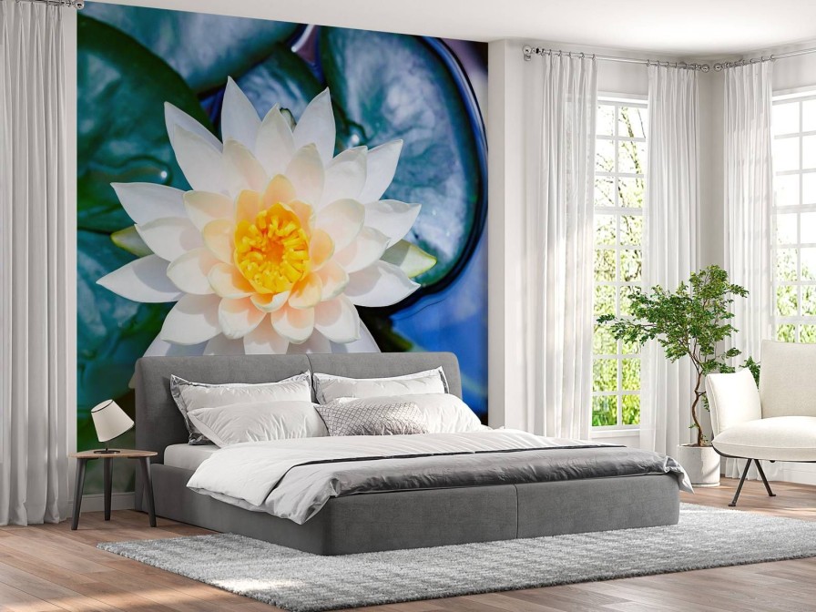 Natuur Wallgroup | Witte Lotusbloem Met Gele Kern Fotobehang