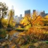 Architectuur Wallgroup | Manhattan Central Park In De Herfst Fotobehang