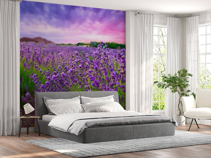 Natuur Wallgroup | Lavendel Met Zonsondergang Fotobehang