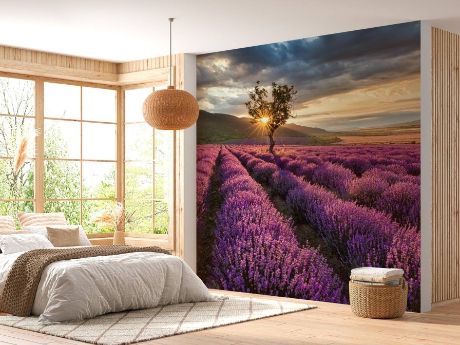 Natuur Wallgroup | Prachtig Landschap Met Lavendel Veld Bij Zonsopkomst Fotobehang