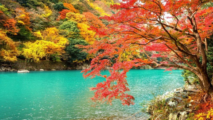 Natuur Wallgroup | Rivier In Arashiyama In Het Herfstseizoen Fotobehang