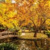 Natuur Wallgroup | Australisch Parkje In De Herfst Fotobehang