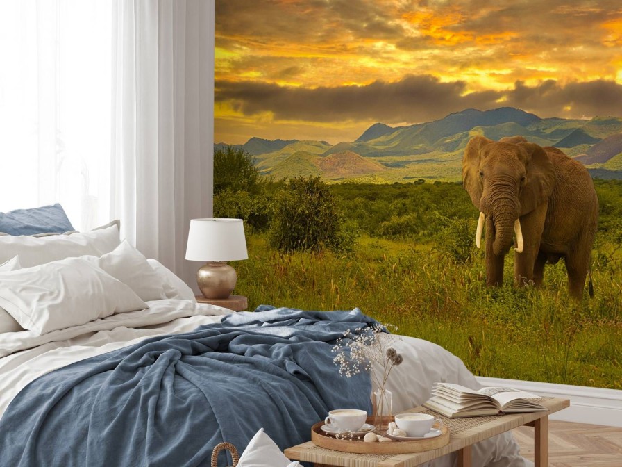 Dieren Wallgroup | Olifant In Kenia Bij Zonsondergang Fotobehang