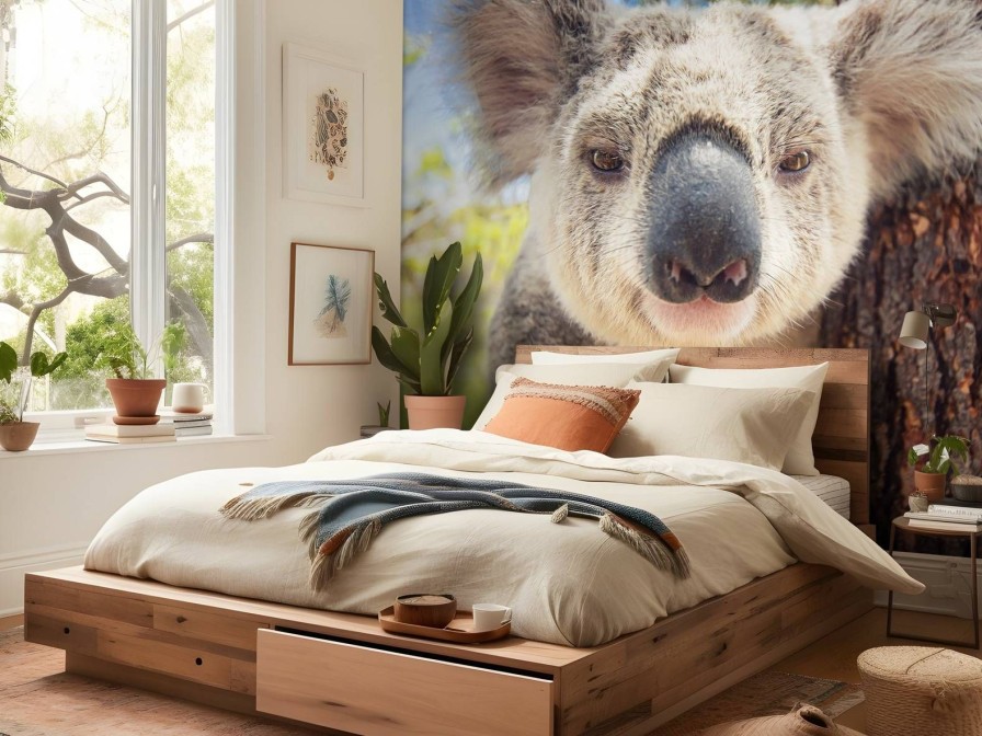 Dieren Wallgroup | Schattige Koala Fotobehang