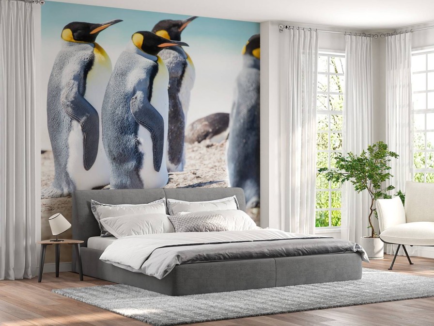 Dieren Wallgroup | Vier Pinguins Verkennen De Noordpool Fotobehang