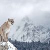 Landschap Wallgroup | Poema In Een Winterlandschap Fotobehang