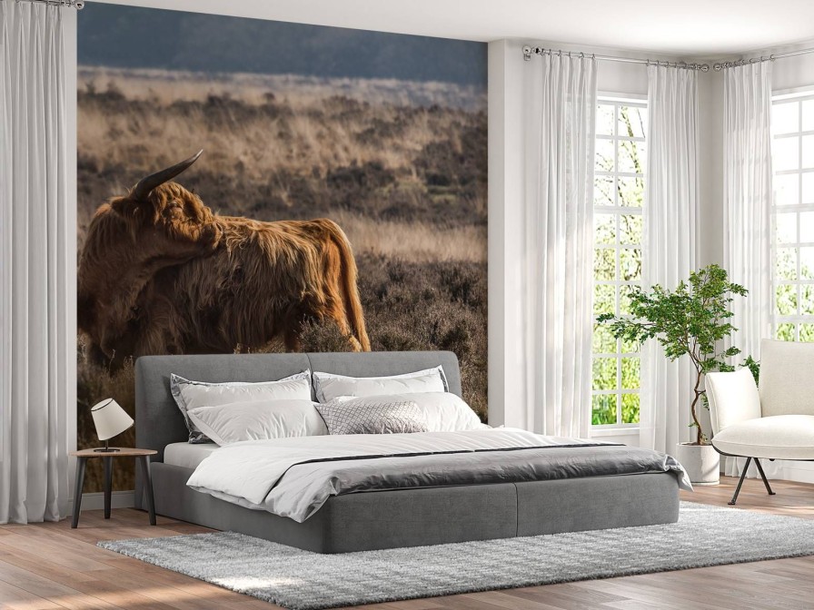 Landschap Wallgroup | Schotse Hooglander In Het Wild Fotobehang