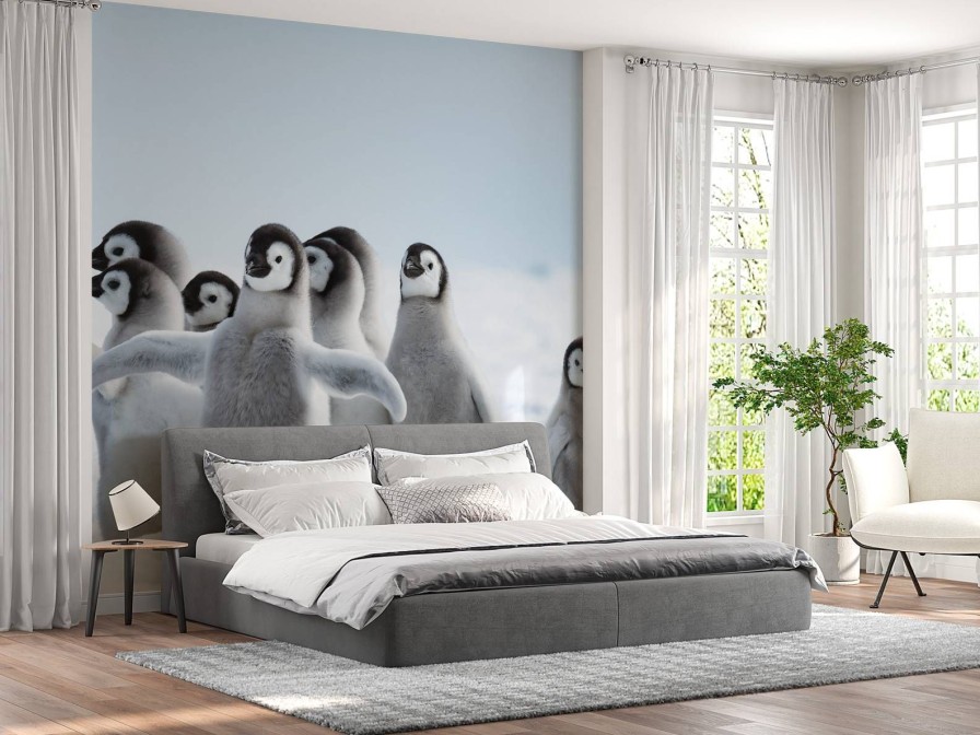 Landschap Wallgroup | Keizerspinguins In De Sneeuw Fotobehang