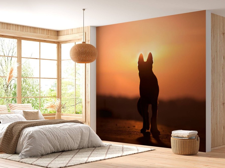 Dieren Wallgroup | Hond Bij Zonsondergang Fotobehang