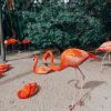 Dieren Wallgroup | Flamingo'S Op Een Caribisch Eiland Fotobehang